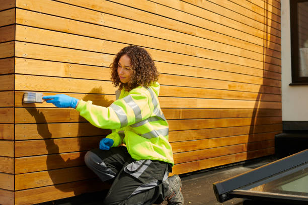 Best Custom Siding Design  in Cresco, IA