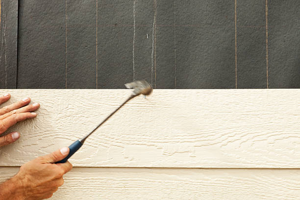Best Steel Siding Installation  in Cresco, IA